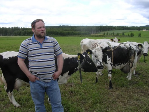Robert berättar om sina kor
