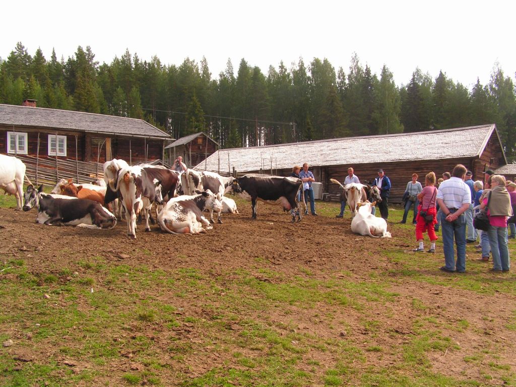 Sedvanligt stämmomingel av folk och fä!