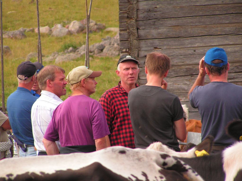 Koprat, Göran Lundström, Göran Ceder, Urban Delestig, Joachim Gustavsson och Anders Jonört