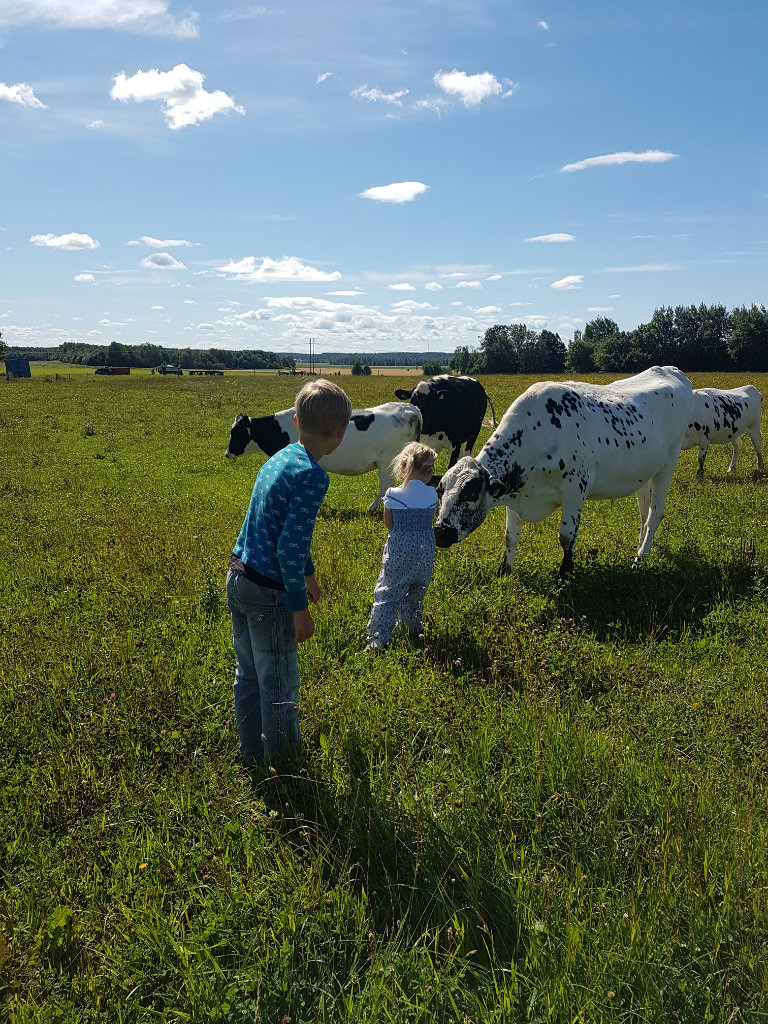 Hemma hos Tommy Hallafors, Västra Via, Vintrosa