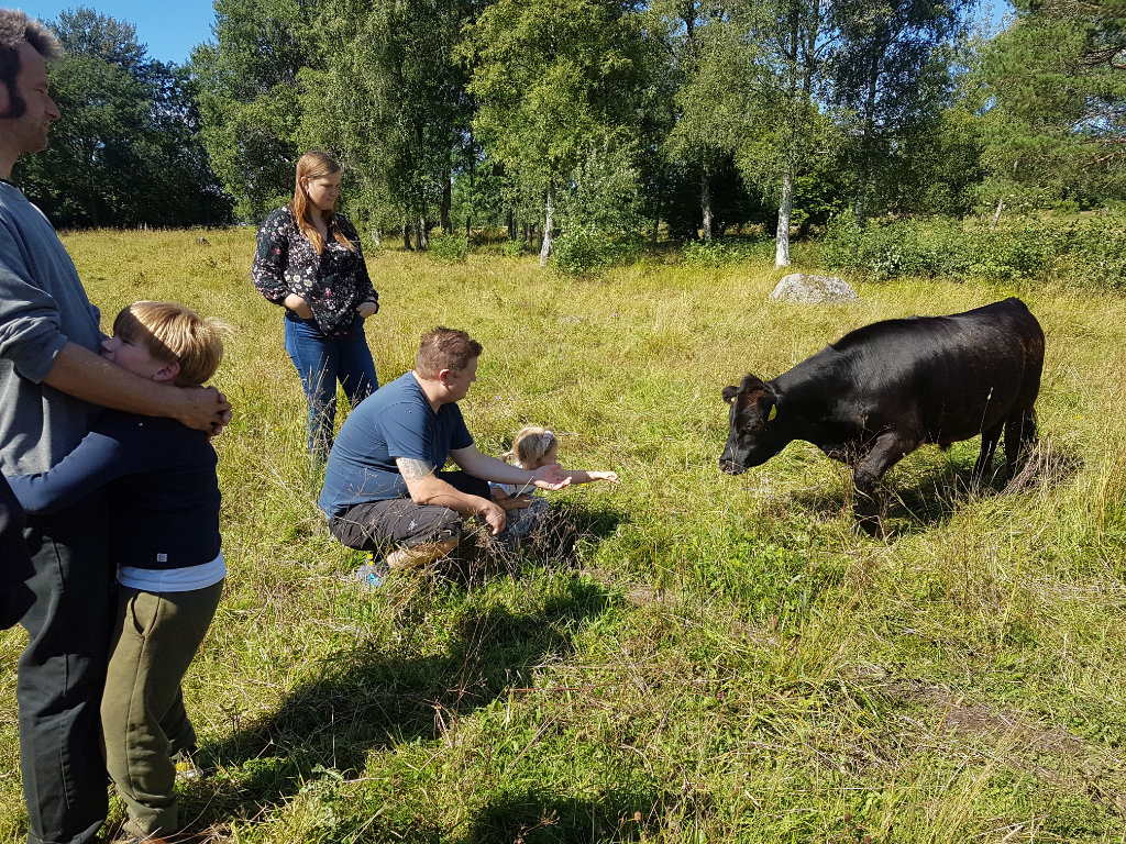 Hemma hos Tommy Hallafors, Västra Via, Vintrosa