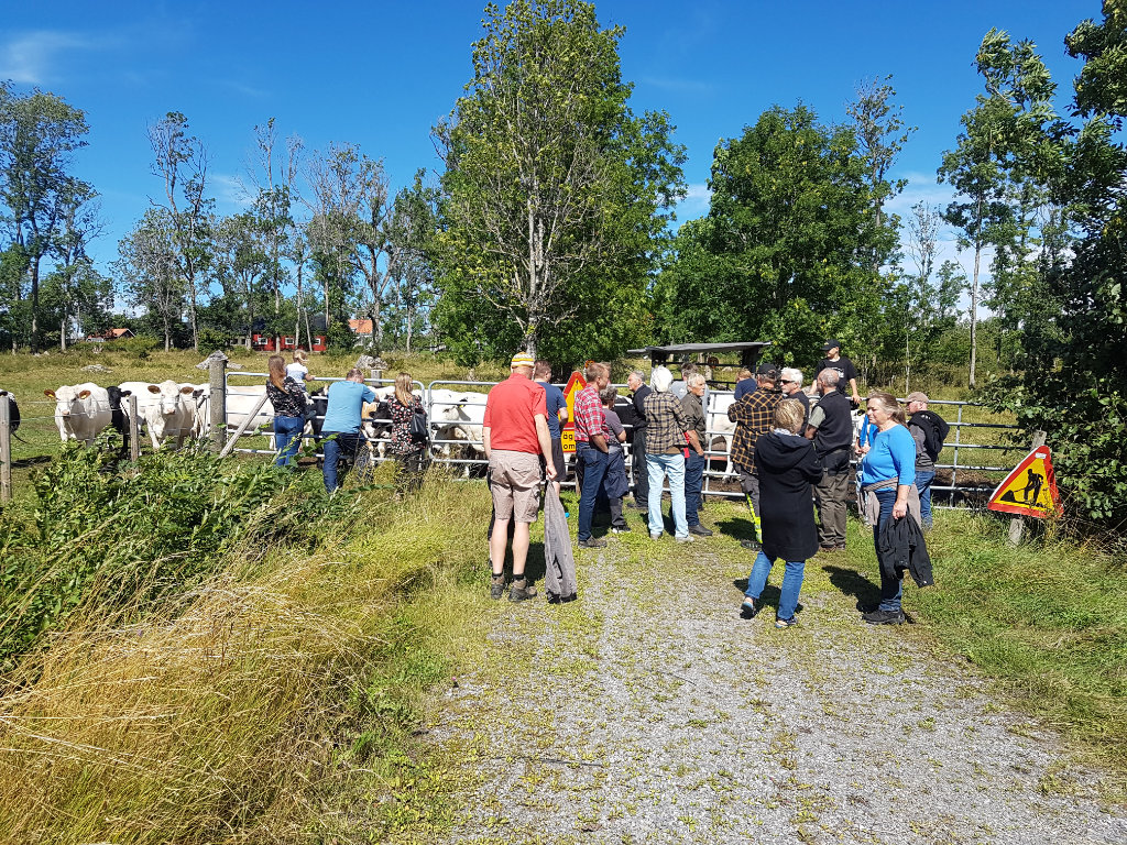 Hemma hos Tommy Hallafors, Västra Via, Vintrosa