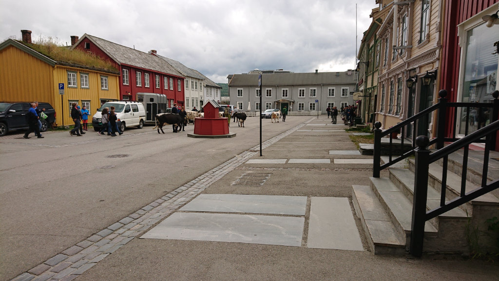 På väg till jubileumsutställningen