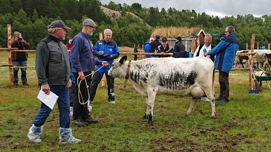 751 Bella född 2017