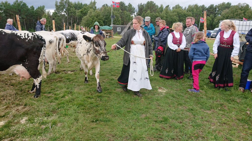 Torhild Moland
