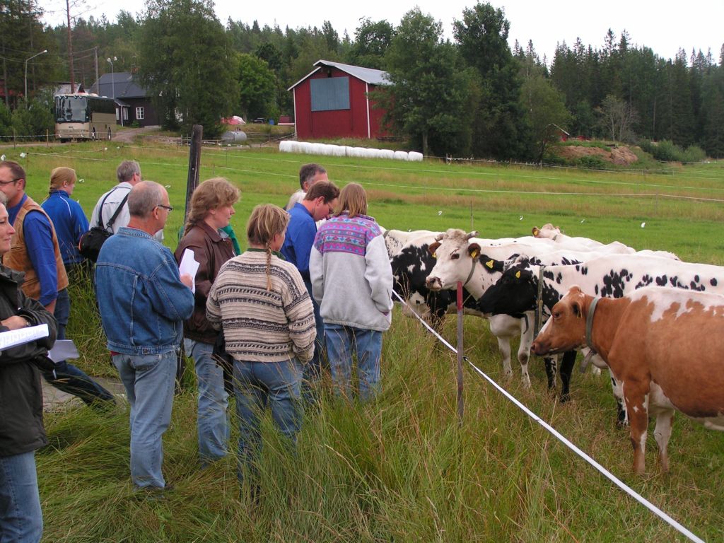 Folk och fä hos Kallins i Rösjö