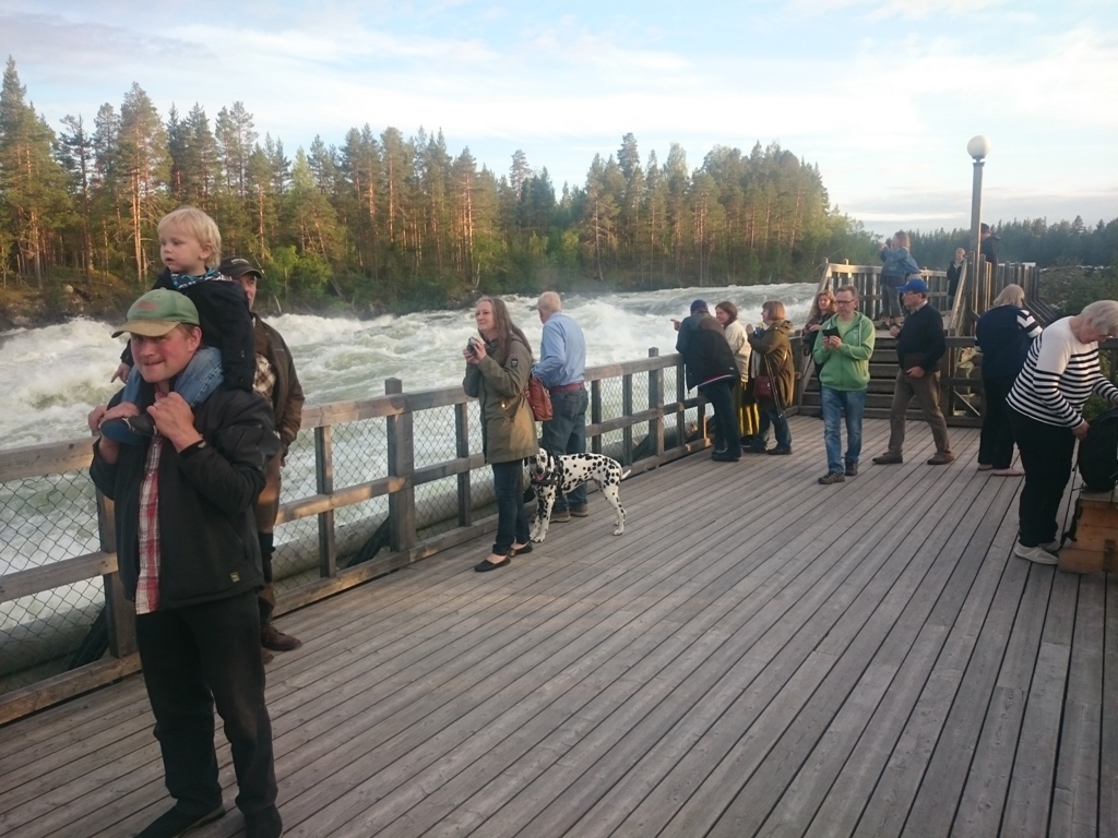 Storforsen är mäktig p.obj.a. allt regnande.
