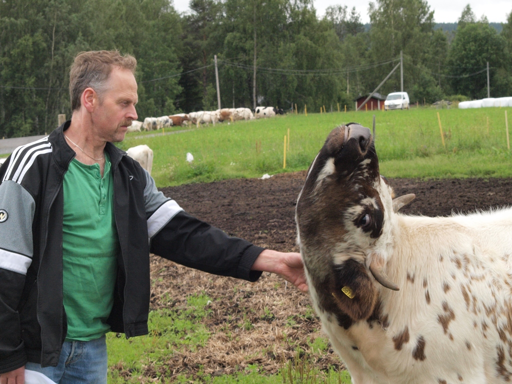 Mårten vet var det kliar.