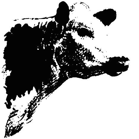 Svensk Fjällrasavel