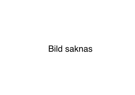 Bild saknas