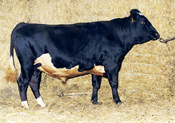 SE 55010-2087 Boss