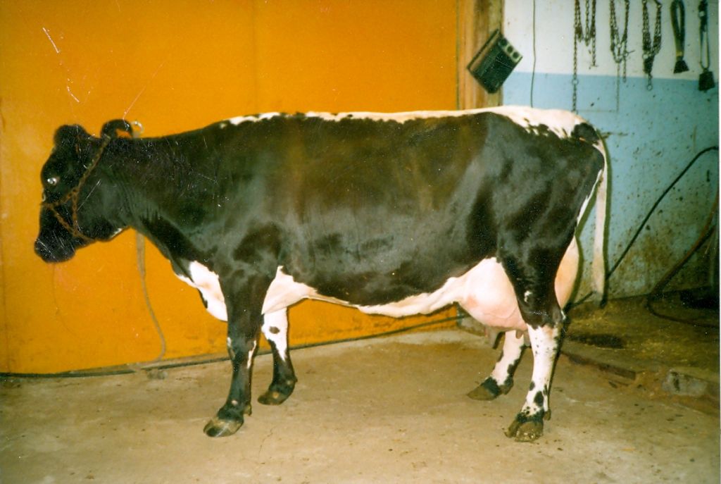 37-1103-347 Fagerlind