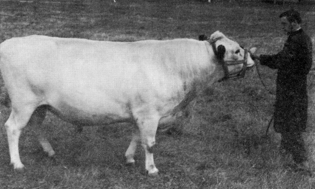 24-1640-34 Ringe