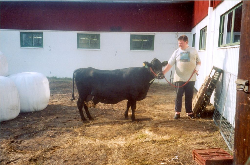 33-16398-161 Svärta