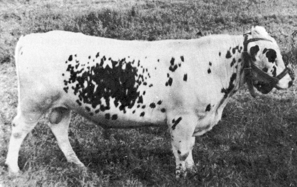 26-1399-72 Lager