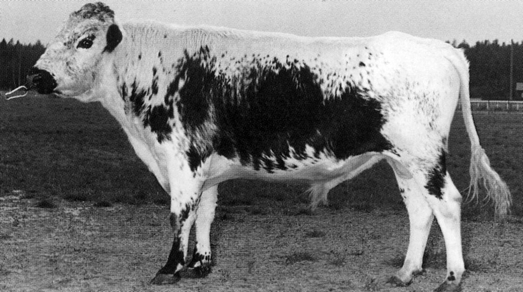 30-28402-30 Herman
