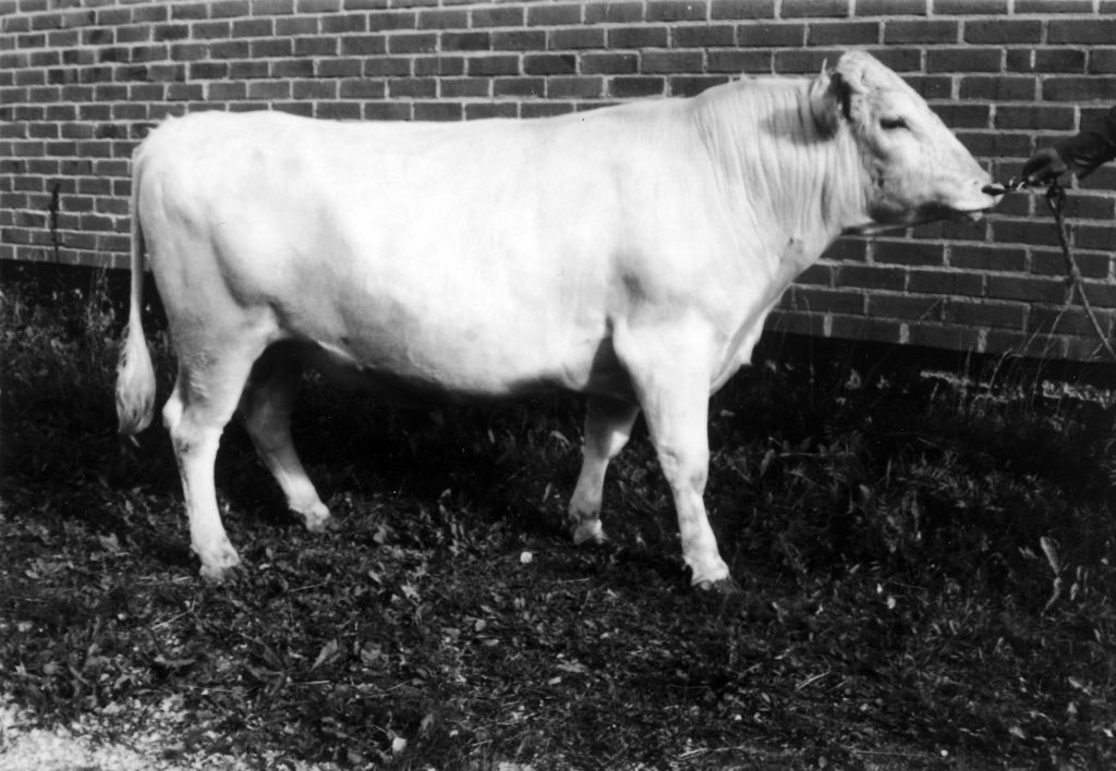 37-22038-70 Findus