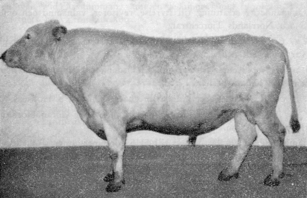 Y 370-24 Sagar