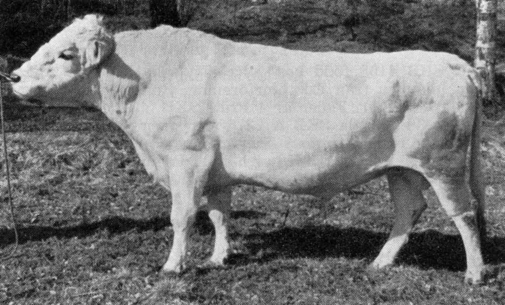 AC 109-27 Bennet