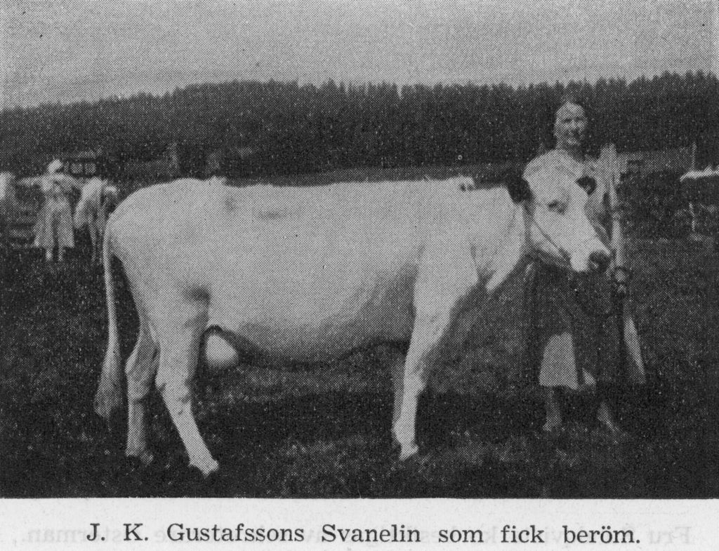 BD 12-7 Svanelin