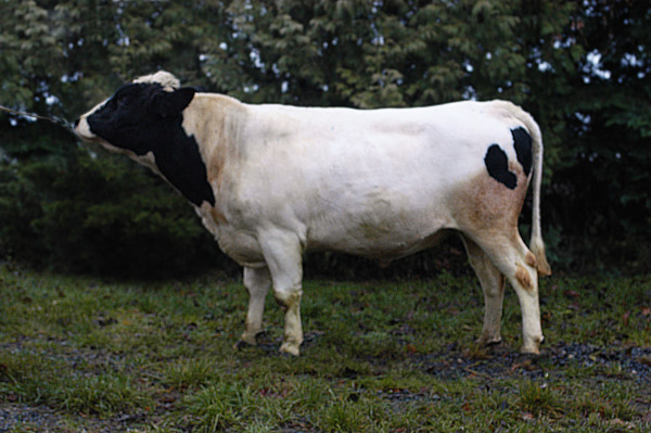 SE 61122-550 Fridolf