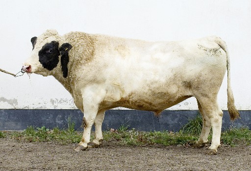 SE 29982-143 Frej