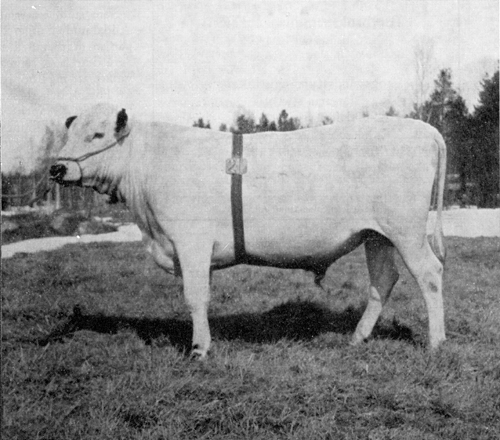 26-57-258 Monter