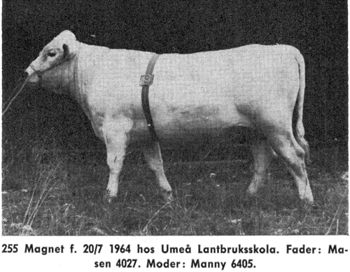 26-57-255 Magnet