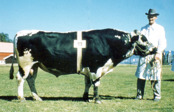 8197 Jo Sing