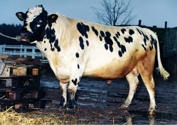 SE 25628-6226 Grenäs
