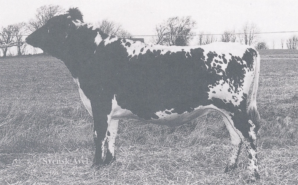 SE 16398-435 Fimar