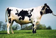 SE 25866-194 Lars
