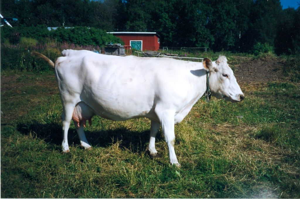 33-29151-314 Smula