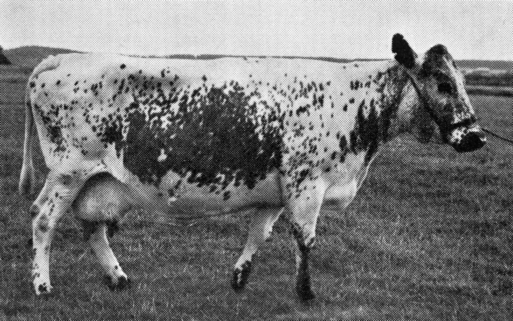 AC 57-144 Mina